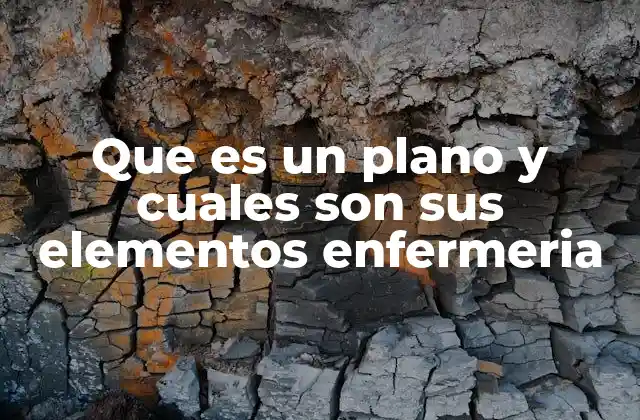 Que es un Plano y Cuales Son Sus Elementos Enfermeria