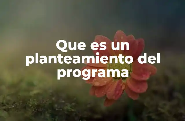 Que es un Planteamiento Del Programa