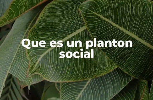 Que es un Planton Social