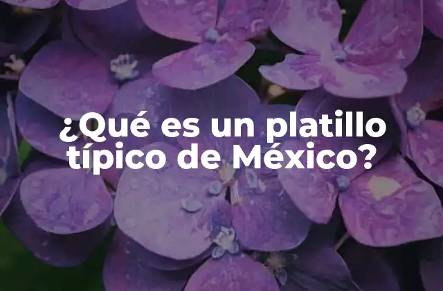 ¿qué es un Platillo Típico de México? 2 La diversidad culinaria de México y su expresión en los platillos típicos
