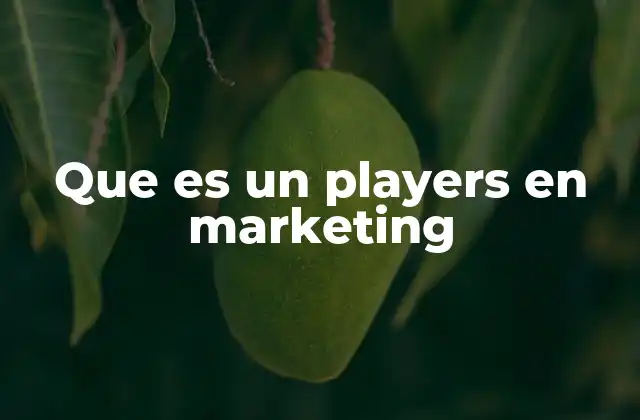 Que es un Players en Marketing