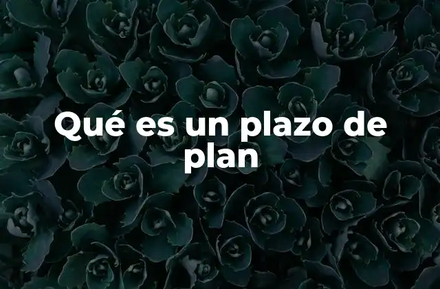 Qué es un Plazo de Plan