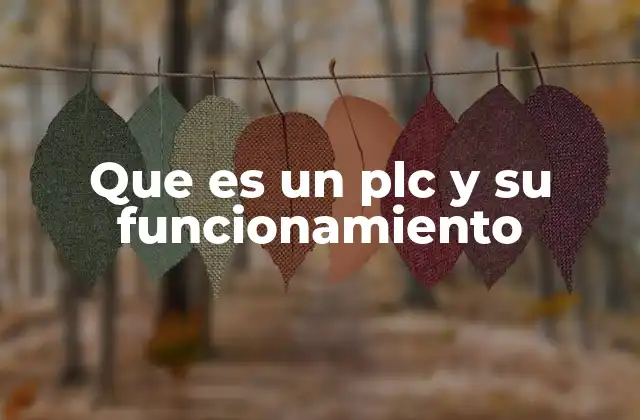 Que es un Plc y Su Funcionamiento