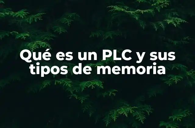 Qué es un Plc y Sus Tipos de Memoria