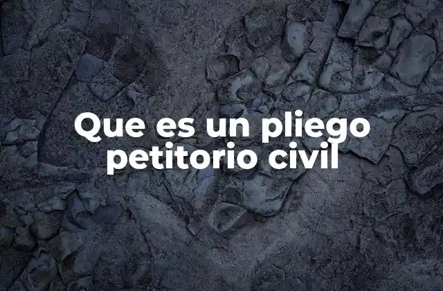 La importancia de los pliegos petitorios en el contexto legal