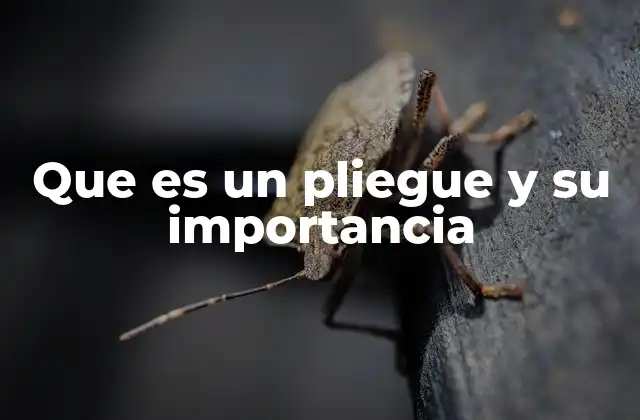 Que es un Pliegue y Su Importancia