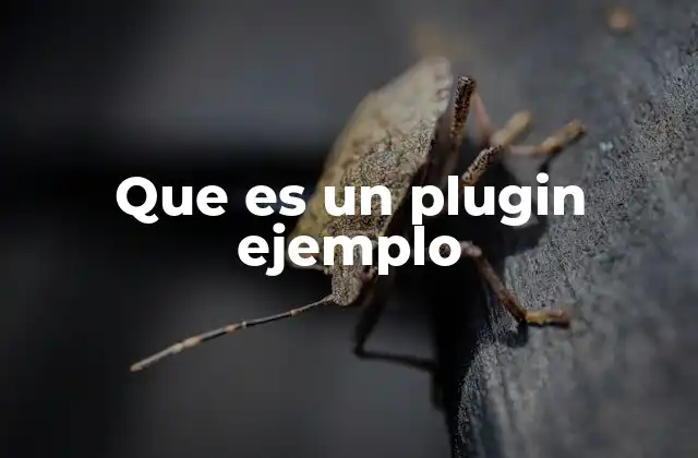 Que es un Plugin Ejemplo