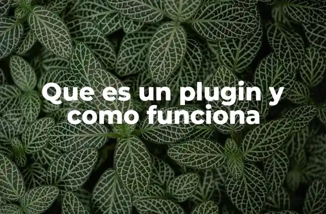 Cómo los plugins enriquecen la experiencia del usuario