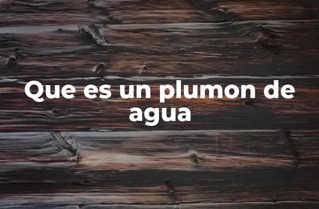 Que es un Plumon de Agua