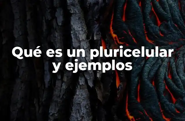 Qué es un Pluricelular y Ejemplos