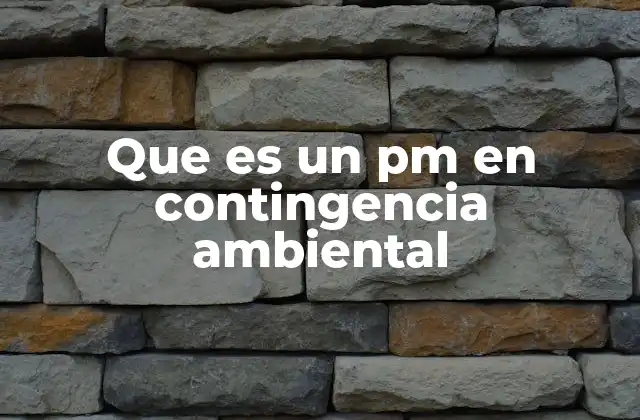 Que es un Pm en Contingencia Ambiental