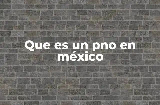 Que es un Pno en México