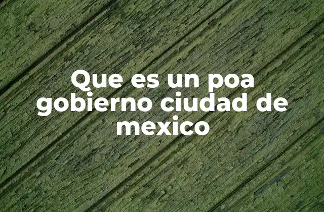 Que es un Poa Gobierno Ciudad de Mexico