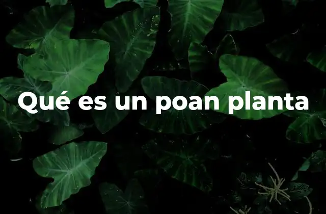 Qué es un Poan Planta