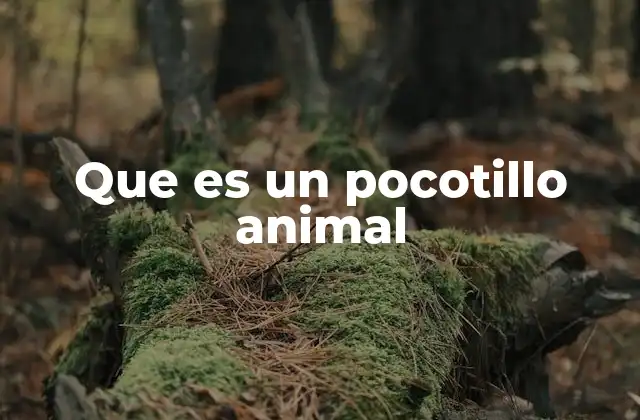 Que es un Pocotillo Animal