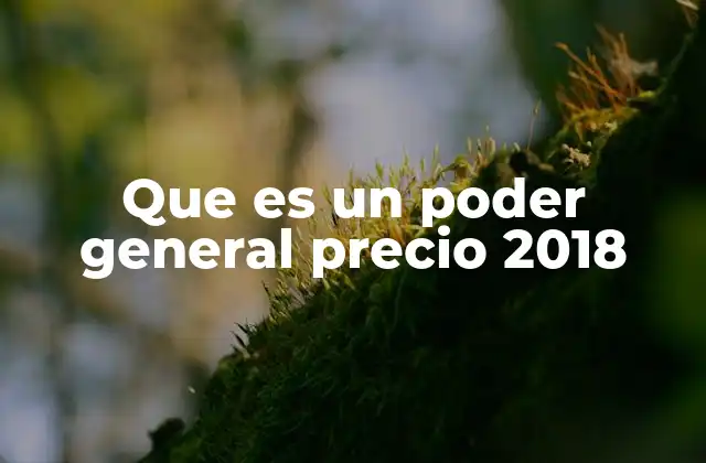 Que es un Poder General Precio 2018