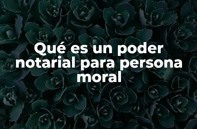 Qué es un Poder Notarial para Persona Moral