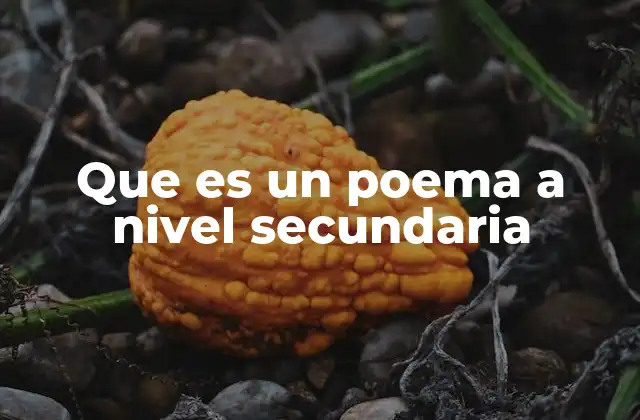 Que es un Poema a Nivel Secundaria