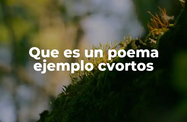 Que es un Poema Ejemplo Cvortos