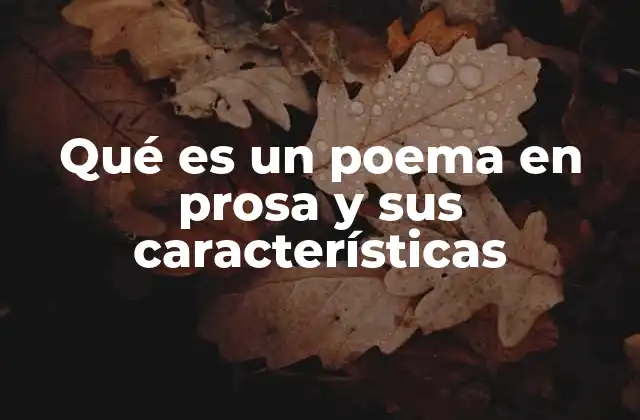 Qué es un Poema en Prosa y Sus Características 2 El lenguaje poético sin la forma tradicional