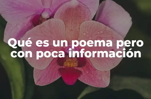 Qué es un Poema pero con Poca Información