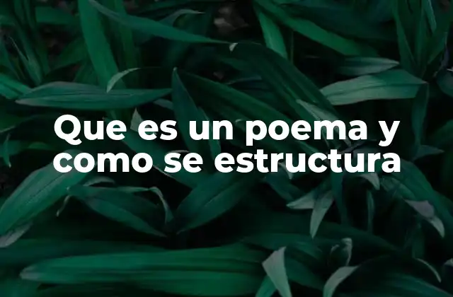 Que es un Poema y como Se Estructura