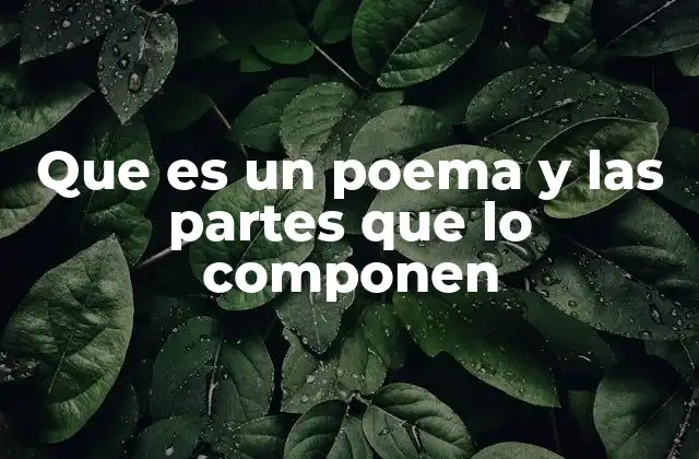 Que es un Poema y las Partes que Lo Componen 2 La estructura interna de la poesía