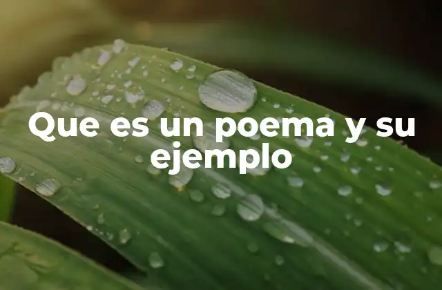 Características que definen al poema