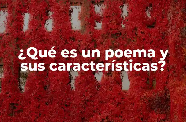 ¿qué es un Poema y Sus Características?