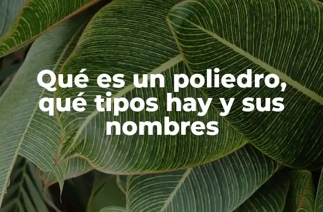 Qué es un Poliedro, Qué Tipos Hay y Sus Nombres 2 Características básicas de las figuras tridimensionales