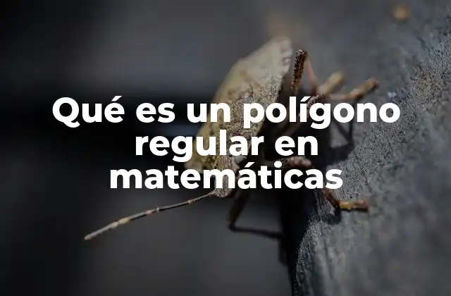 Qué es un Polígono Regular en Matemáticas