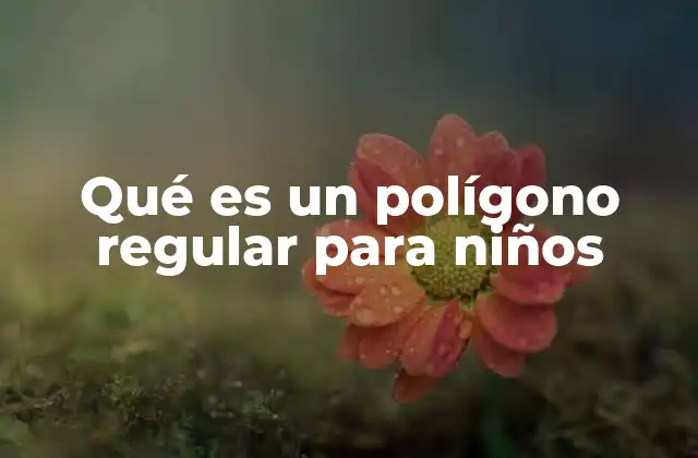 Figuras geométricas regulares y sus características