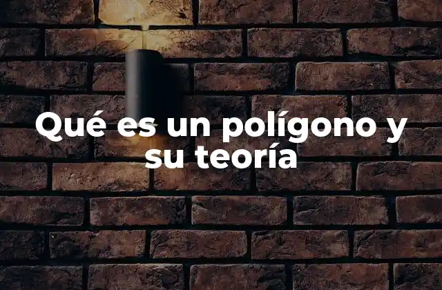 Características y elementos esenciales de los polígonos