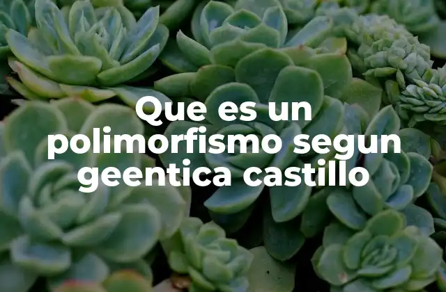 Que es un Polimorfismo Segun Geentica Castillo