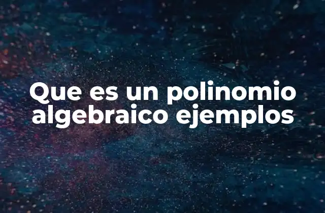 Que es un Polinomio Algebraico Ejemplos