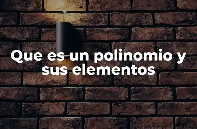 Que es un Polinomio y Sus Elementos