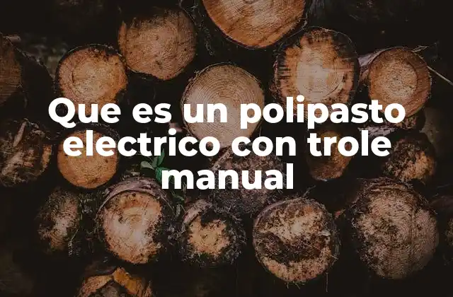 Que es un Polipasto Electrico con Trole Manual 2 Características y componentes de un sistema de elevación con trole manual
