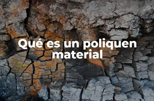 Qué es un Poliquen Material