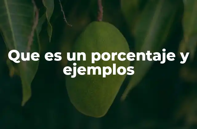 Que es un Porcentaje y Ejemplos
