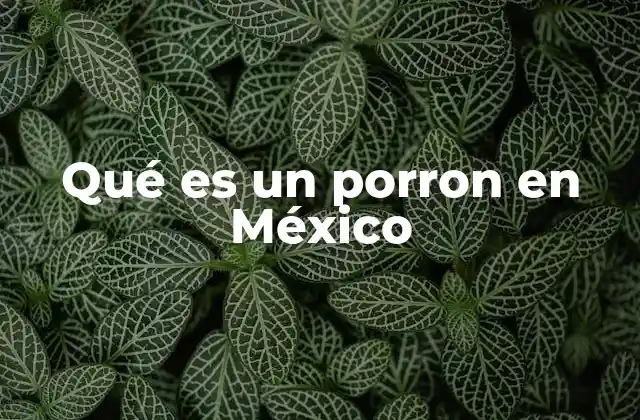 Qué es un Porron en México