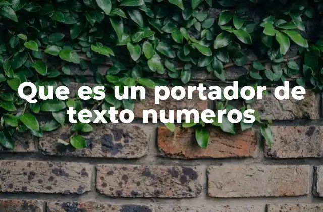 Que es un Portador de Texto Numeros