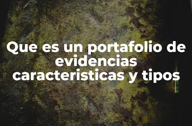La importancia de organizar un portafolio de evidencias
