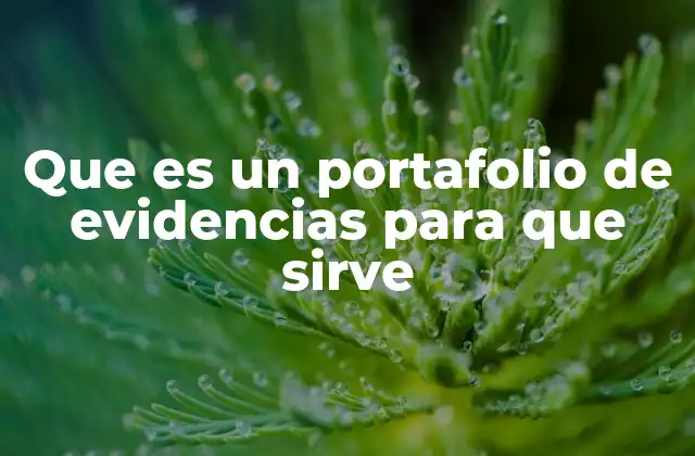 Que es un Portafolio de Evidencias para que Sirve
