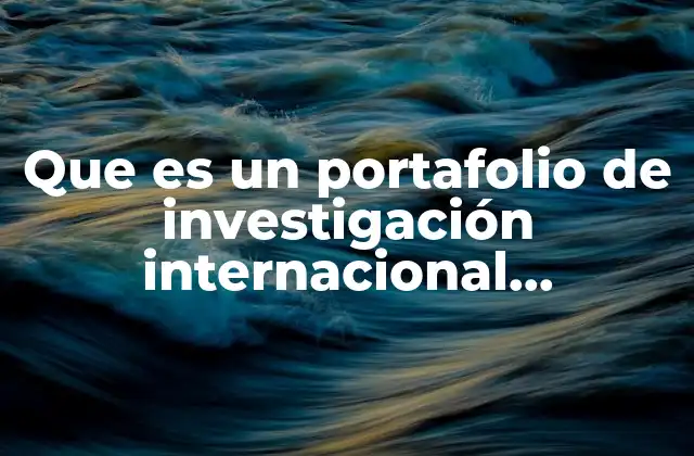 Que es un Portafolio de Investigación Internacional Economía