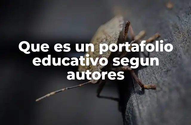 El portafolio como herramienta de evaluación formativa