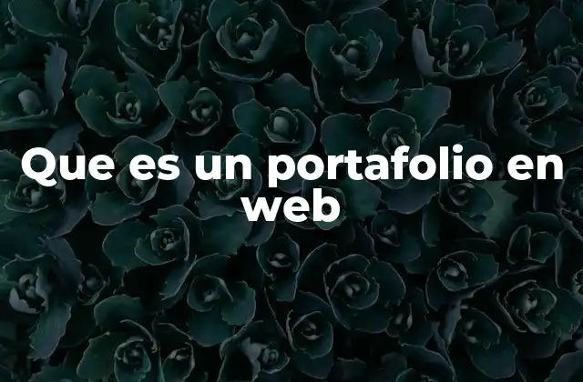Que es un Portafolio en Web