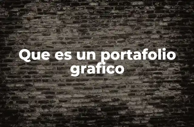 Que es un Portafolio Grafico