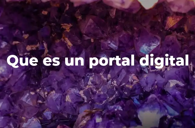 Que es un Portal Digital