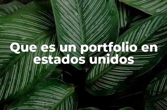 Que es un Portfolio en Estados Unidos