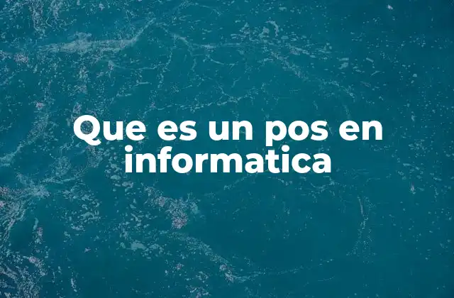 Que es un Pos en Informatica